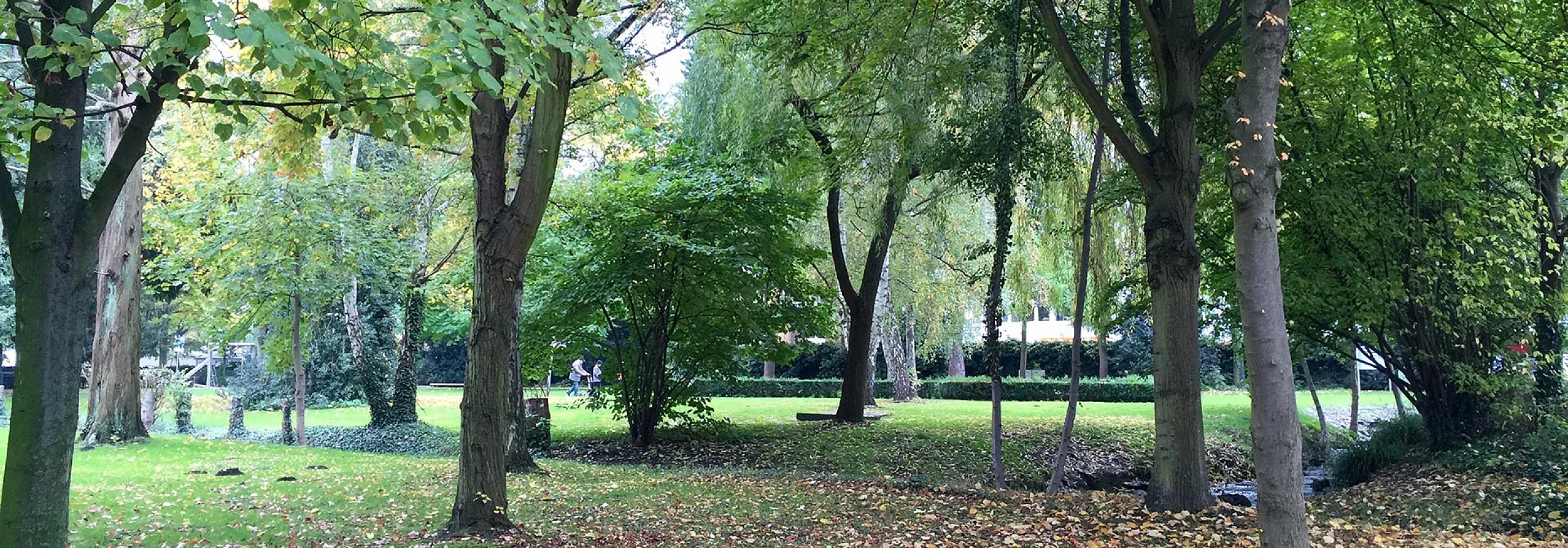 Symbolbild | Hürth - Dreiling Sanierungstechnik | Ihre Profis für die Sanierung von Asbest, Brandschäden, Schimmel, Wasserschäden sowie für Bautrocknung