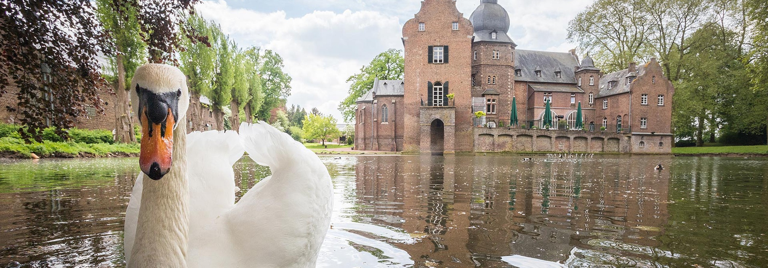 Symbolbild | Kerpen - Dreiling Sanierungstechnik | Ihre Profis für die Sanierung von Asbest, Brandschäden, Schimmel, Wasserschäden sowie für Bautrocknung